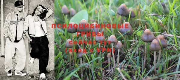 мет Богданович