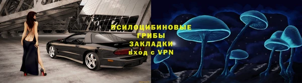 молекула духа Ступино