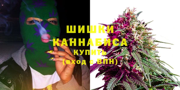 хмурый Бронницы