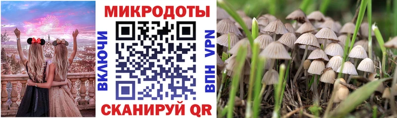 Галлюциногенные грибы ЛСД  хочу   Десногорск 